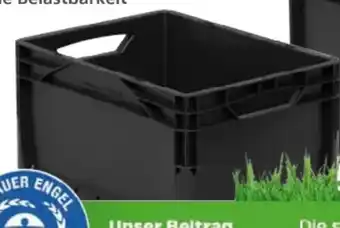 Globus Baumarkt Surplus Systems System-Euroboxen Angebot