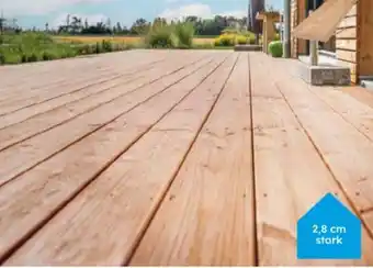 Globus Baumarkt Terrassendielen Douglasie Angebot