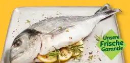 Lidl Fischerstolz Dorade Royal Angebot