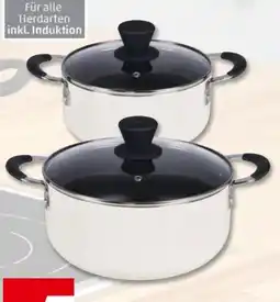 PENNY Bergner Kochtöpfe Angebot
