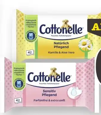 Scheck-in-Center Cottonelle Feuchtes Toilettenpapier Angebot
