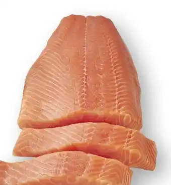 Scheck-in-Center Lachsfilet Angebot