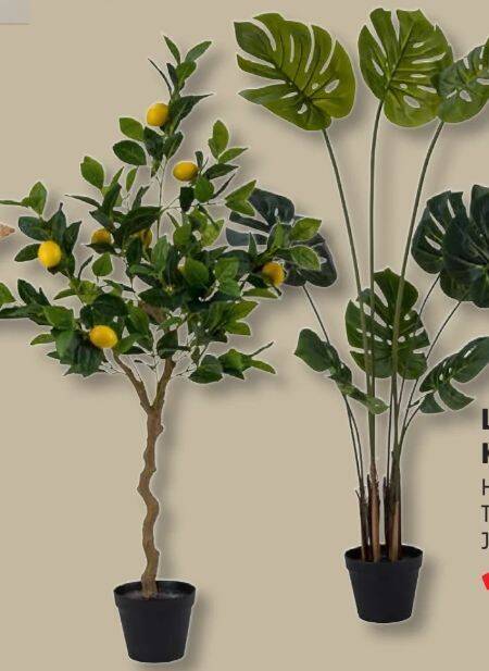 Livarno Home Kunstpflanze 1 stk Angebot bei Lidl