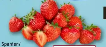 REWE Erdbeeren Angebot