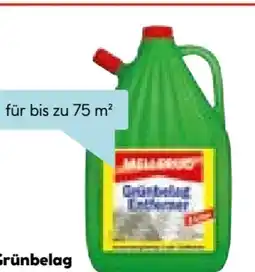 Hellweg Mellerud Grünbelag-Entferner Angebot