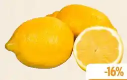 Edeka Bio-Zitronen Angebot