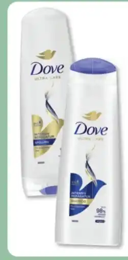 Budni Dove Shampoo Angebot