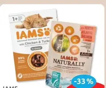 Budni Iams Katzennahrung Angebot
