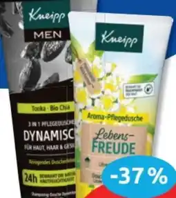 Budni Kneipp Duschgel Angebot