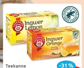 Budni Teekanne Tee Angebot
