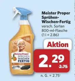 Combi Meister proper sprühen-wischen-fertig Angebot