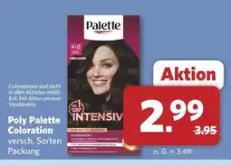Combi Palette poly palette coloration Angebot