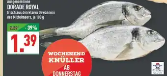 Marktkauf Dorade royal Angebot