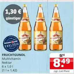 Getränke Quelle Fruchtgundl multivitamin nektar Angebot