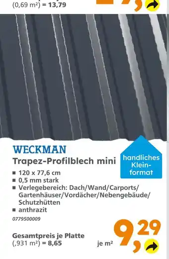 Globus Baumarkt Weckman trapez-profilblech mini Angebot