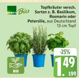 Marktkauf Edeka bio topfkräuter Angebot