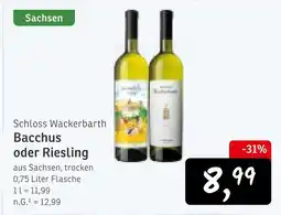 KONSUM Schloss wackerbarth bacchus Angebot