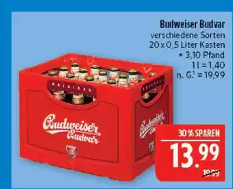 Marktkauf Budweiser budvar Angebot