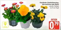 Edeka Vierländer Stiefmütterchen, Hornveilchen oder Bellis Angebot