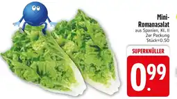Edeka Mini- Romanasalat Angebot