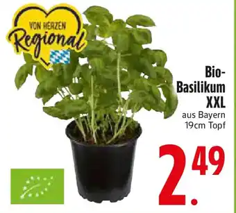 Edeka Bio- Basilikum XXL Angebot