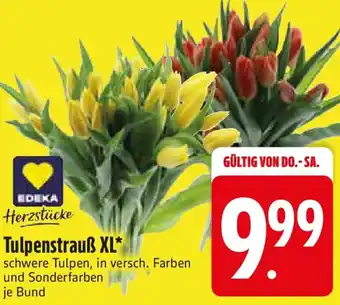 Edeka EDEKA Herzstücke Tulpenstrauß XL Angebot