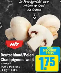 HIT Deutschland/Polen Champignons weiß Angebot