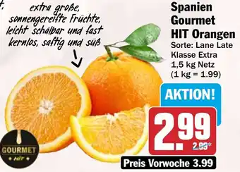 HIT Spanien Gourmet HIT Orangen Angebot