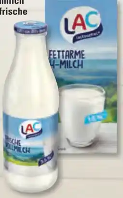 Edeka Frischemarkt Schwarzwaldmilch Laktosefreie Milch Angebot
