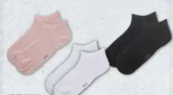 Aldi Nord Up2Fashion Damen-Socken 2 Paar Angebot