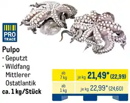 METRO Pulpo Angebot