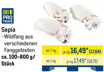 METRO Sepia Angebot