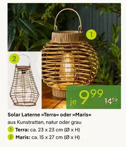 Pflanzen Kölle Solar laterne terra Angebot