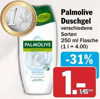 HIT Palmolive Duschgel Angebot