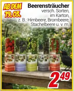 CENTERSHOP Beerensträucher Angebot