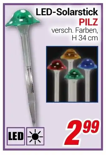 CENTERSHOP LED-Solarstick PILZ Angebot