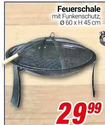 CENTERSHOP Feuerschale Angebot