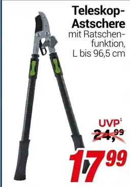 CENTERSHOP Teleskop- Astschere Angebot