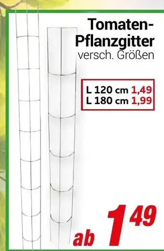 CENTERSHOP Tomaten- Pflanzgitter Angebot
