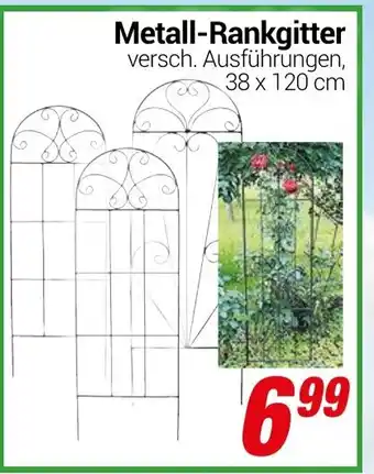 CENTERSHOP Metall-Rankgitter Angebot