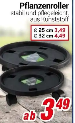 CENTERSHOP Pflanzenroller Angebot