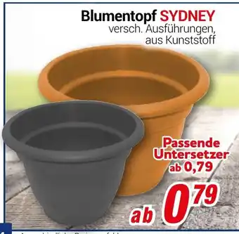 CENTERSHOP Blumentopf SYDNEY Angebot