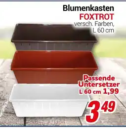 CENTERSHOP Blumenkasten FOXTROT Angebot