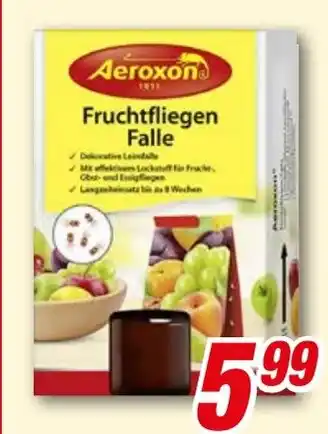 CENTERSHOP Aeroxon Fruchtfliegen Falle Angebot