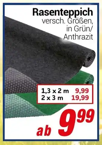 CENTERSHOP Rasenteppich Angebot