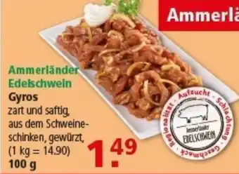 Multi Markt Ammerländer Edelschwein Gyros Angebot
