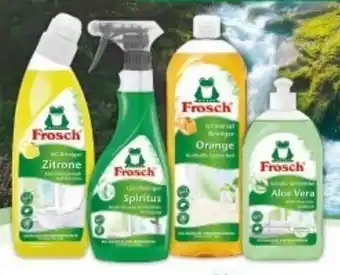 Multi Markt Frosch Reiniger Angebot