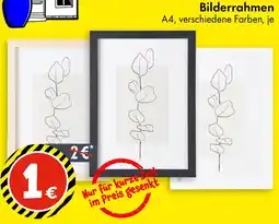 TEDi Bilderrahmen Angebot