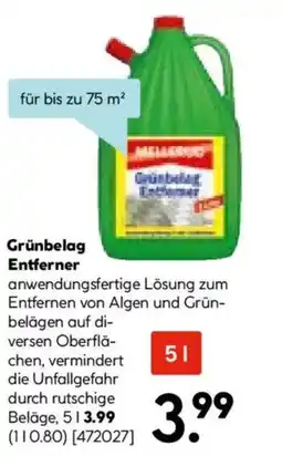 Hellweg Grünbelag Entferner Angebot
