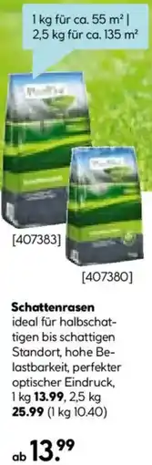 Hellweg Schattenrasen Angebot